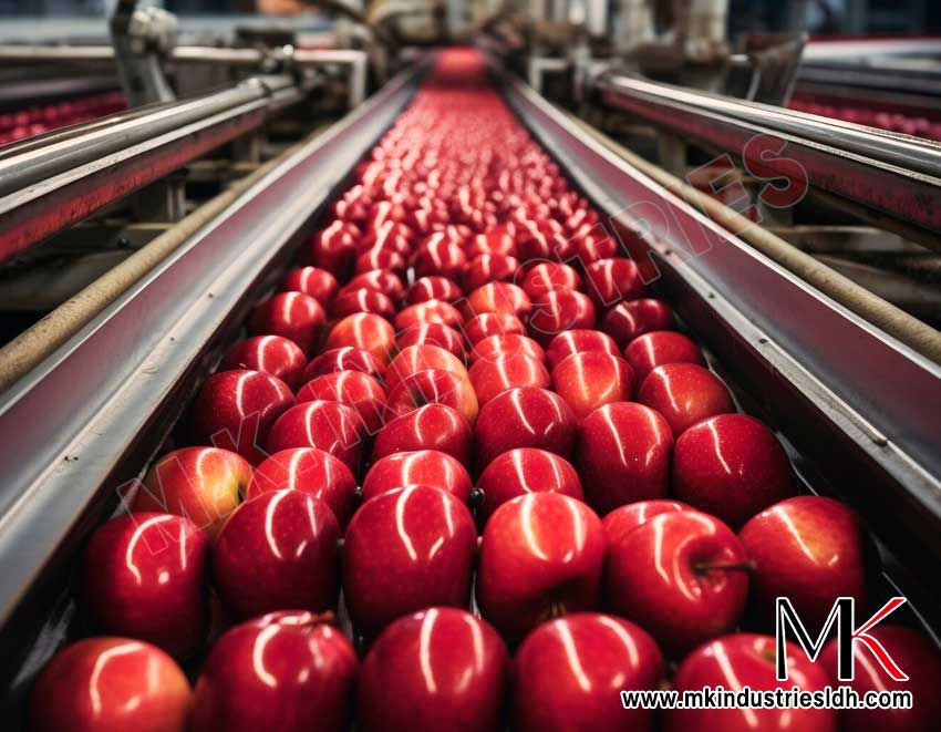 Fruit Pulp & Agro Processing Industry